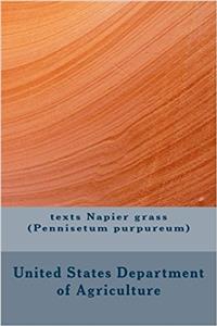 Texts Napier Grass: Pennisetum Purpureum