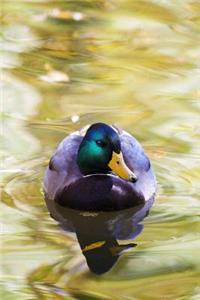 Duck Notebook