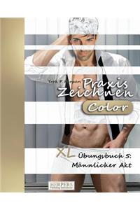 Praxis Zeichnen [Color] - XL Übungsbuch 5