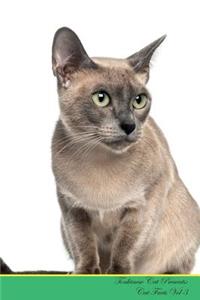 Tonkinese Cat Presents