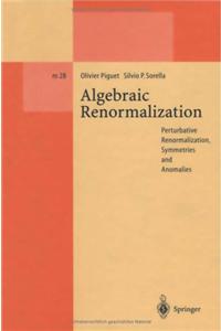 Algebraic Renormalization: Perturbative Renormalization, Symmetries and Anomalies