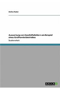 Ausweitung von Geschäftsfeldern am Beispiel eines Großhandelsbetriebes