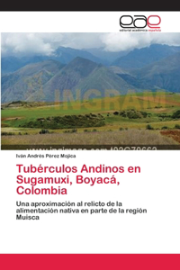 Tubérculos Andinos en Sugamuxi, Boyacá, Colombia