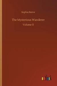Mysterious Wanderer