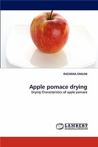 Apple Pomace Drying