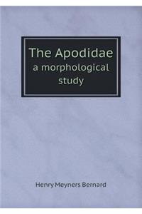 The Apodidae a morphological study