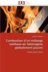 Combustion d''un Mélange Méthane-Air Hétérogène Globalement Pauvre