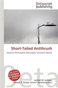 Short-Tailed Antthrush