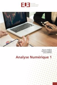 Analyse Numérique 1