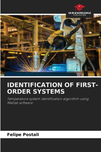 Identification of First-Order Systems