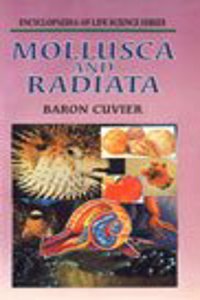 Mollusca and Radiata