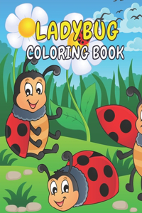 Ladybug Coloring Book