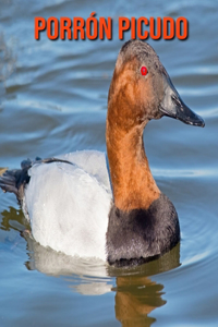 Porrón picudo