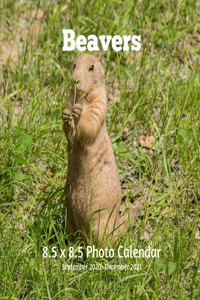 Beavers 8.5 X 8.5 Calendar September 2020 -December 2021
