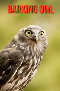 Barking Owl