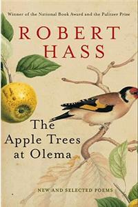 The Apple Trees at Olema