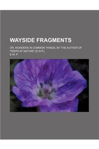 Wayside Fragments; Or, Wonders in Common Things, by the Author of 'Peeps at Nature' (E.W.P.).