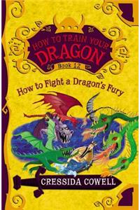 How to Fight a Dragon's Fury