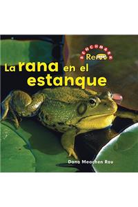 Rana En El Estanque (the Frog in the Pond)