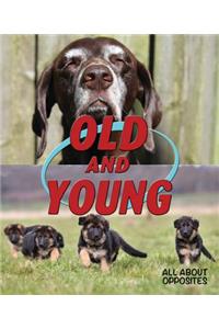 Old and Young