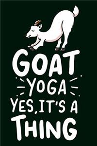 Goat Yoga Yes It Is A Thing