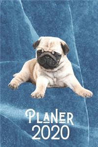 Planer 2020
