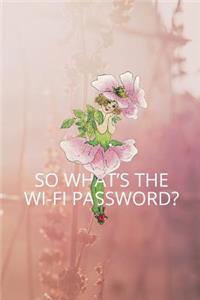 So Whats the Wifi Password