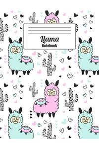 Llama Notebook