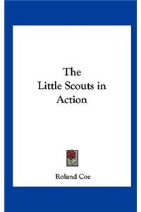 The Little Scouts in Action