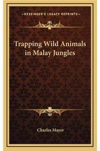Trapping Wild Animals in Malay Jungles