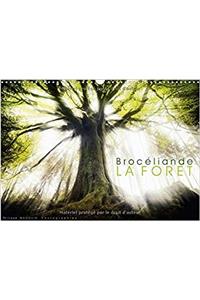 Broceliande, la Foret 2017