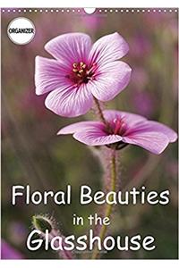 Floral Beauties in the Glasshouse 2017