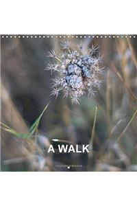 A Walk 2018