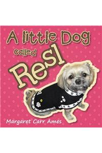 A little Dog called Resl