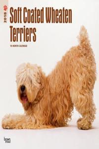 Wheaten Terriers, Soft Coated 2018 Wall Calendar