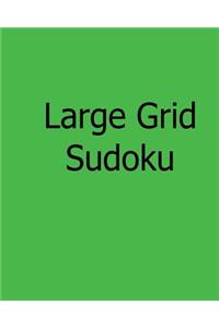 Large Grid Sudoku