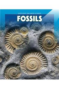 Fossils