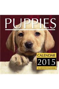 Puppies Calendar 2015