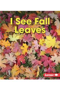 I See Fall Leaves