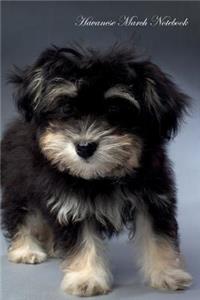 Havanese March Notebook Havanese Record, Log, Diary, Special Memories, To Do List, Academic Notepad, Scrapbook & More