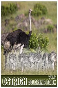 Ostrich