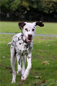 Happy Gangly Dalmatian Puppy Dog Frolicking in the Park Pet Journal