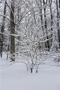 Snowstorm Effect Winter Weather Journal
