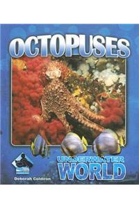 Octopuses