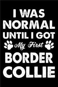 I Was Normal Until I Got My First Border Collie