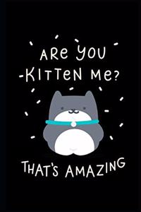 are you kitten me?