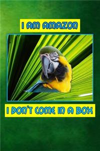 I Am Amazon