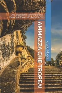 Ammazza che tropea!: Una questione terminologica romana intorno all'ubriachezza