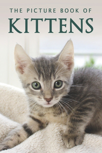 Picture Book of Kittens