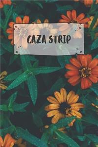 Gaza Strip